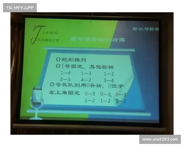 网球比赛主裁判判罚决策的标准与影响因素分析 网球比赛主裁判判罚决策的标准与影响因素分析