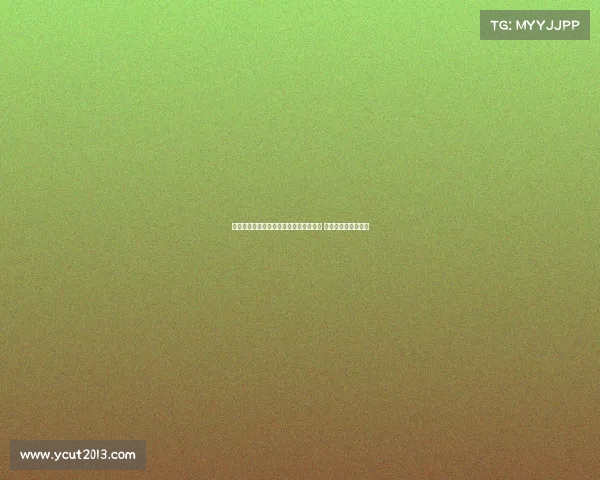 维特塞尔即将与西甲赫罗纳签下两年合同 强势加盟助力新赛季 维特塞尔即将与西甲赫罗纳签下两年合同 强势加盟助力新赛季