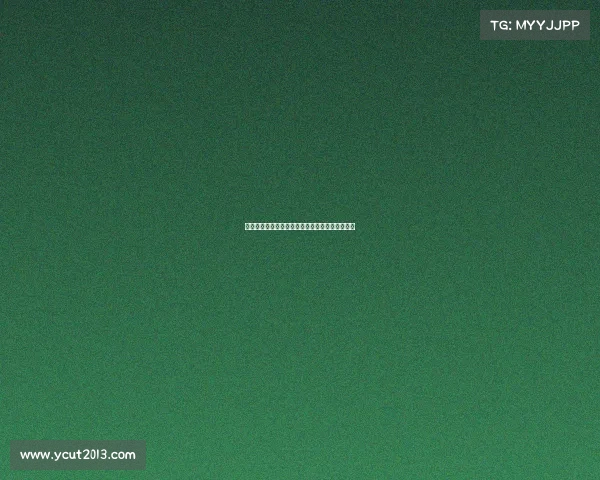 荷兰人如何用创新精神翱翔蓝天推动航空科技发展